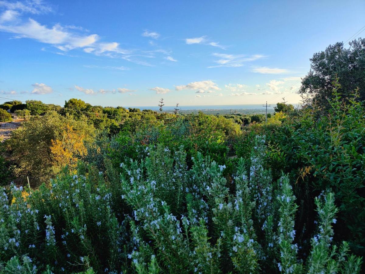 Villa Mest Pepp Monopoli Kültér fotó